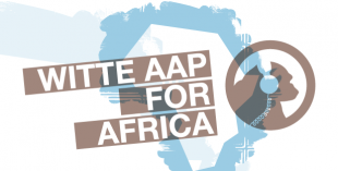 Dare to Design for Africa afbeelding